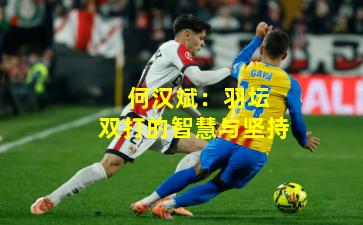  何汉斌：羽坛双打的智慧与坚持