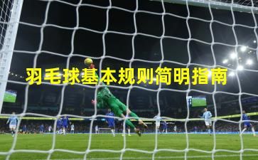  羽毛球基本规则简明指南