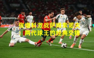 张继科激战萨姆索诺夫：两代球王的经典交锋