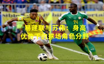 易建联与苏伟：身高优势下的球场角色分野