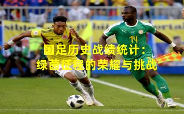 国足历史战绩统计：绿茵征程的荣耀与挑战