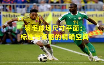 羽毛球场尺寸平面：标准与策略的精确空间