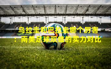 乌拉圭和巴拉圭哪个厉害:南美足球双雄的实力对比